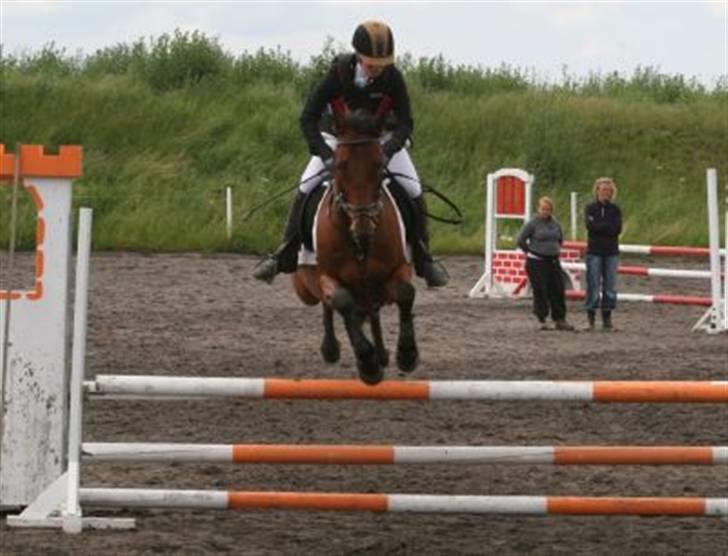 Traver Gelmin Follo - Til spring stævne i stoer magle by. billede 2