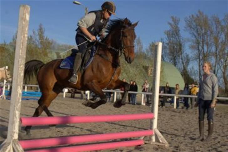 Traver Gelmin Follo - til springundervisning. billede 3