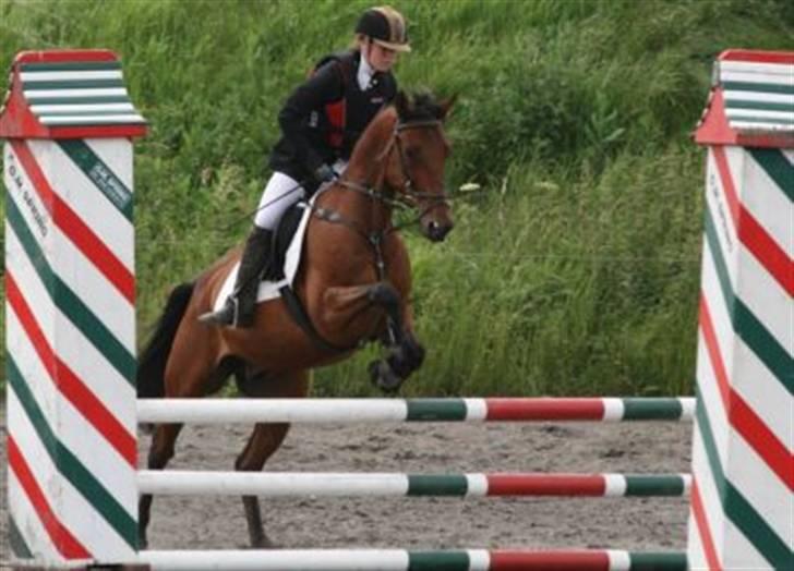 Traver Gelmin Follo billede 4