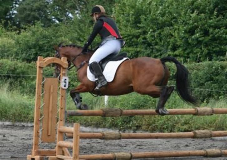 Traver Gelmin Follo - Til spring stævne i stoer magle by. billede 8