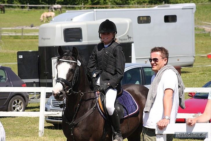 Anden særlig race Black Beauty B-pony - stævne på ponygården solvang. inden LA  billede 1