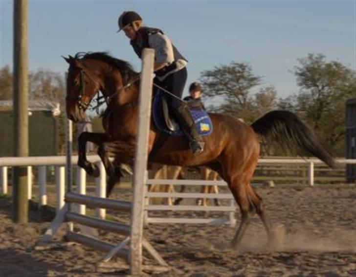 Traver Gelmin Follo billede 10