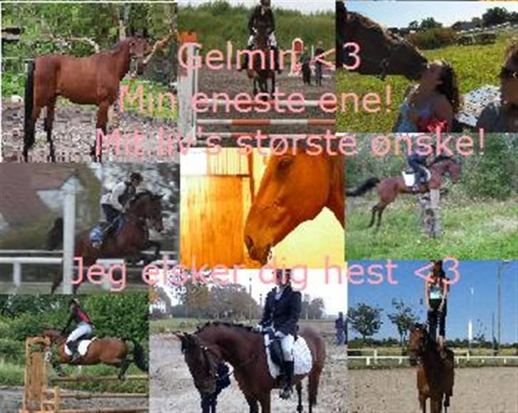 Traver Gelmin Follo billede 11