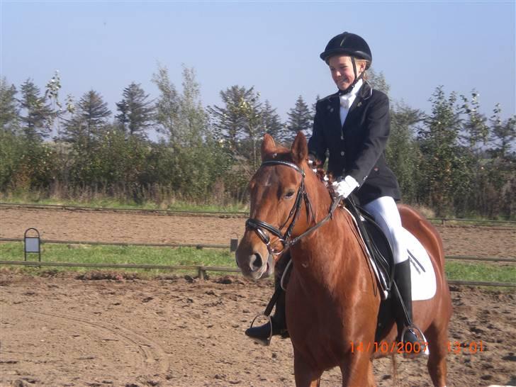 New Forest Vannetie - her er min skat og mig til stævne :b billede 3