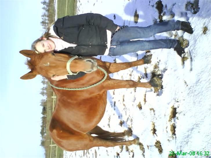 New Forest Vannetie - hun er da hvis lidt biskidt på rykken =)  billede 4