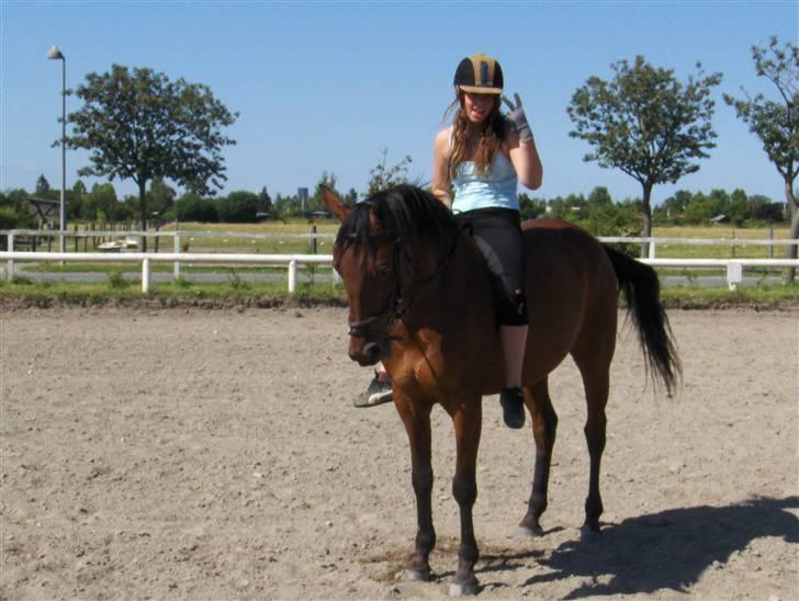 Traver Gelmin Follo billede 12