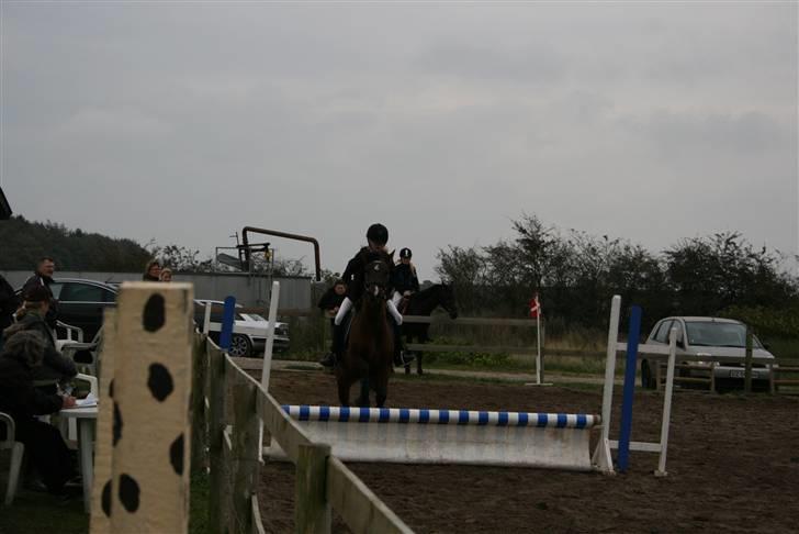 New Forest Jonie Skat<3!  billede 4