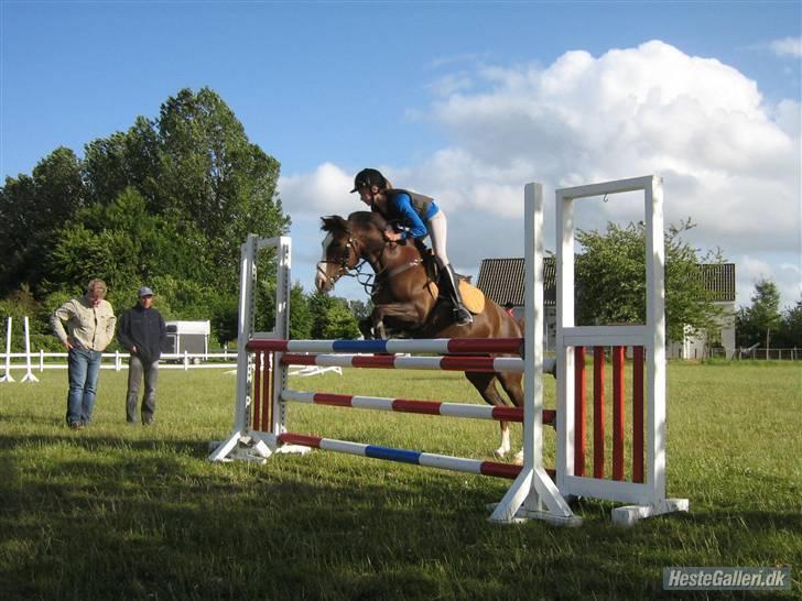 Anden særlig race Tilde - sommeren 08' billede 20