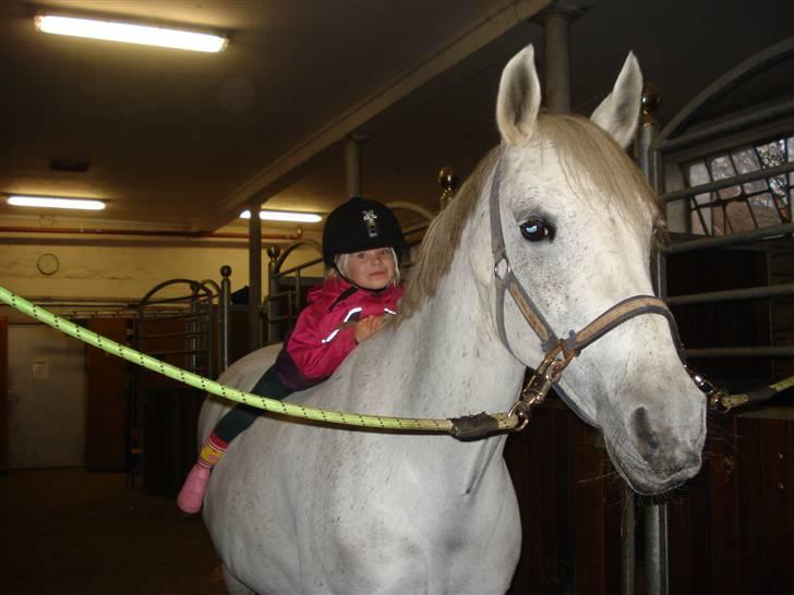 DSP Lavine (RIP d.21/7-2009) - lavine og laura billede 14