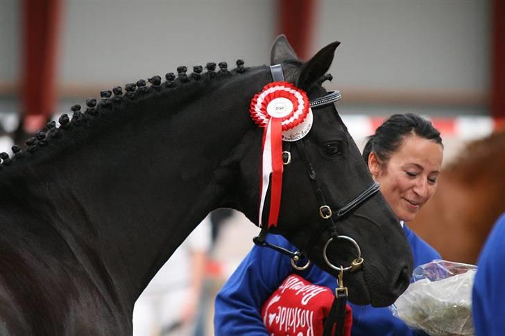DSP Westerndorf Hirstory - hoppekåring 07 billede 6