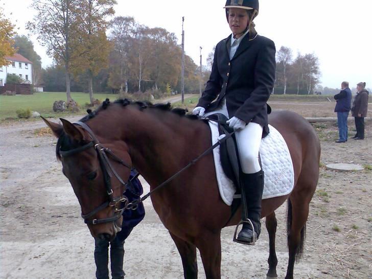 Traver Gelmin Follo billede 13