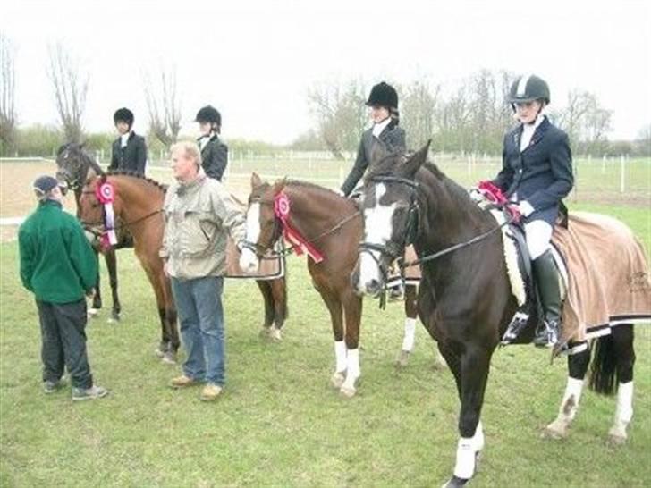 DSP Pascal * B-pony* billede 4