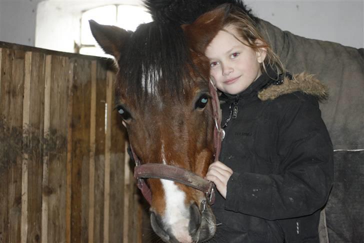 New Forest Stella Nova billede 7