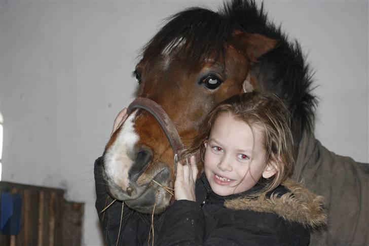 New Forest Stella Nova billede 8