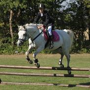 Connemara Bakkedals Bounty 