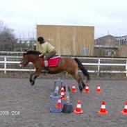 Anden særlig race Denise <3