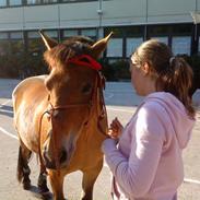 Anden særlig race Denise <3