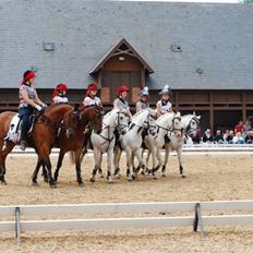 Connemara Dizett - Solgt!