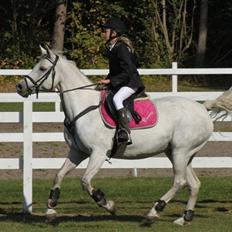 Connemara Bakkedals Bounty 