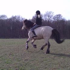 Anden særlig race Tjalfe ' Alt<3 *Gl. Part*