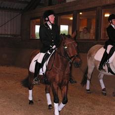 Anden særlig race Tulle