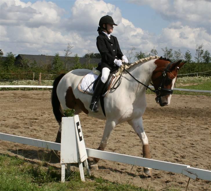 Pinto Oprah Winfrey B-pony "SOLGT" - Stald Enhjørnings Oprah Winfrey vores første stævne i Thorsø 2007 billede 7