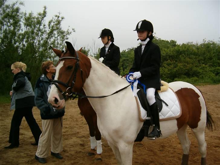 Pinto Oprah Winfrey B-pony "SOLGT" - Stald Enhjørnings Oprah Winfrey til vores første stævne 2007 blev nr. 2 billede 11