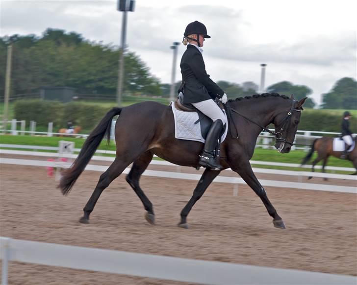 Anden særlig race Invincible (Andrea) <3 - 18) Fotograf: Kim Andersen billede 18