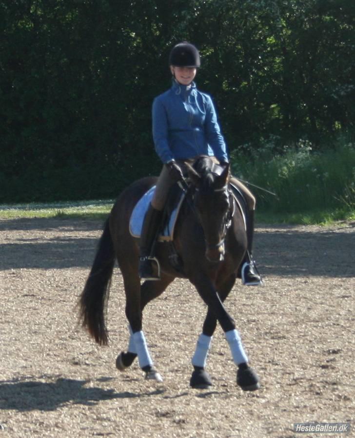 Anden særlig race Invincible (Andrea) <3 - 19) Fotograf: Janne Falkenberg billede 19