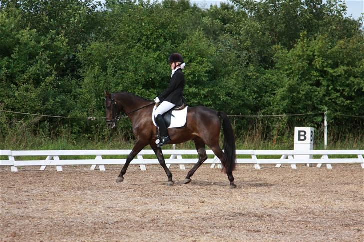 Anden særlig race Invincible (Andrea) <3 - 20) Fotograf: Carsten Madsen billede 20