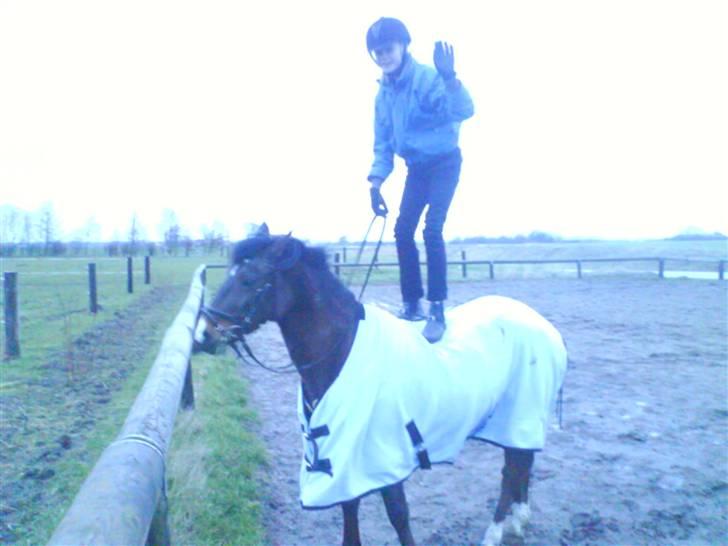 New Forest Jonie Skat<3!  billede 7