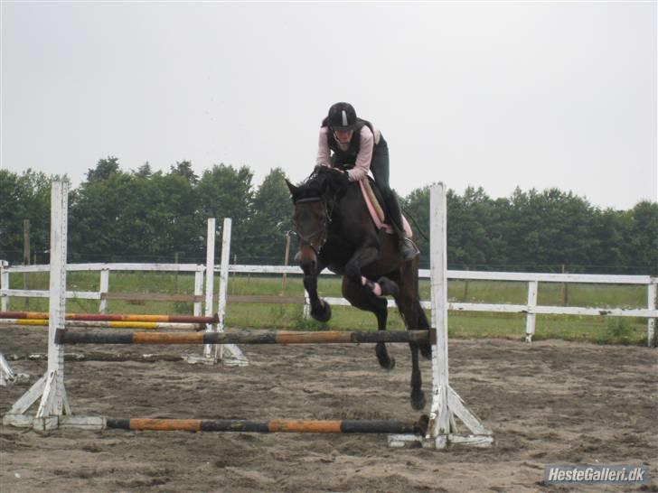 Traver anni caine   Solgt - Det ser godt ud men var ved at skide i bukserne trode vi ville ramme støtten haha  billede 4