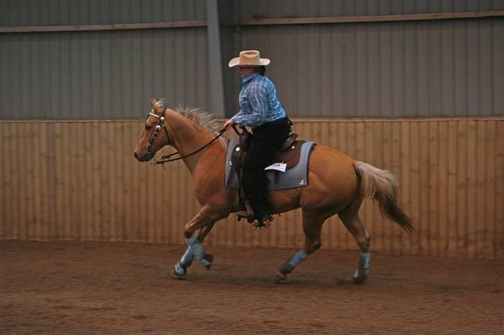 Quarter LoneStarPrescription *RIP - Stævne Winther Trophy Challange 1 marts 2008 billede 14