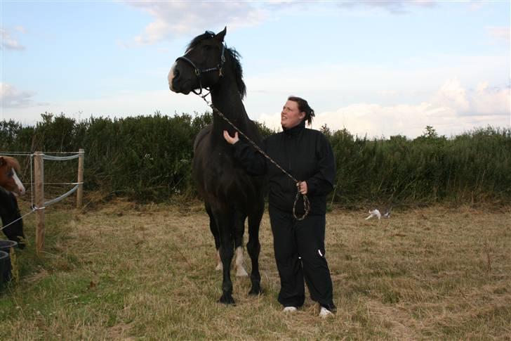 Anden særlig race Diego  - uuaaaahhhh det er skønt at blive kløet på halsen ......... billede 5