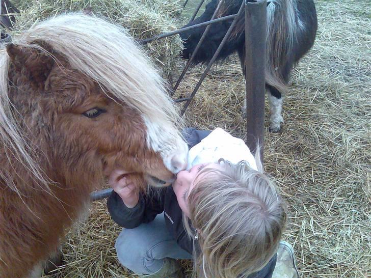 Miniature Superman Fra Supersesse - årh, den lille dreng deler gerne et lys ud. ! skat jeg elsker dig. <3 ( kun kopier billederne hvis i får lov af mig ) billede 15