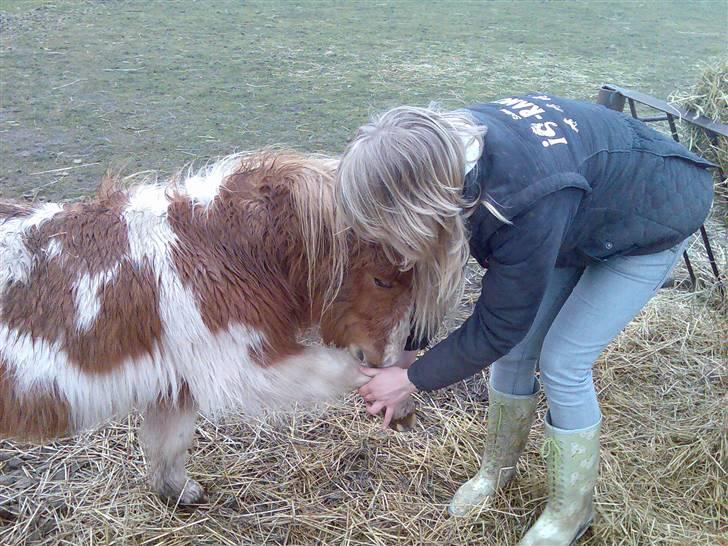 Miniature Superman Fra Supersesse - davs davs,,, du vil alrid have en helt særlig plads i mit hjerte. <3 ALTID ( kun kopier billederne hvis i får lov af mig ) billede 16