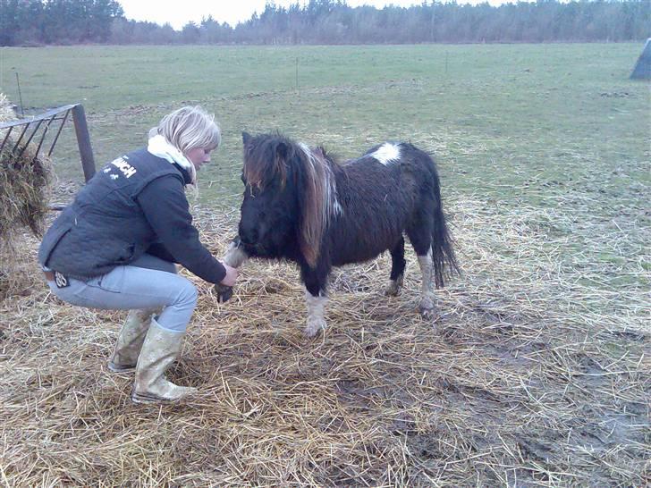 Miniature Prinsesse Fra Supersesse - prinsesse, kan sige hej.. ( ved god jeg ikke lig er så smuk ) ( kun kopir billederne hvis i får lov af mig ) billede 18