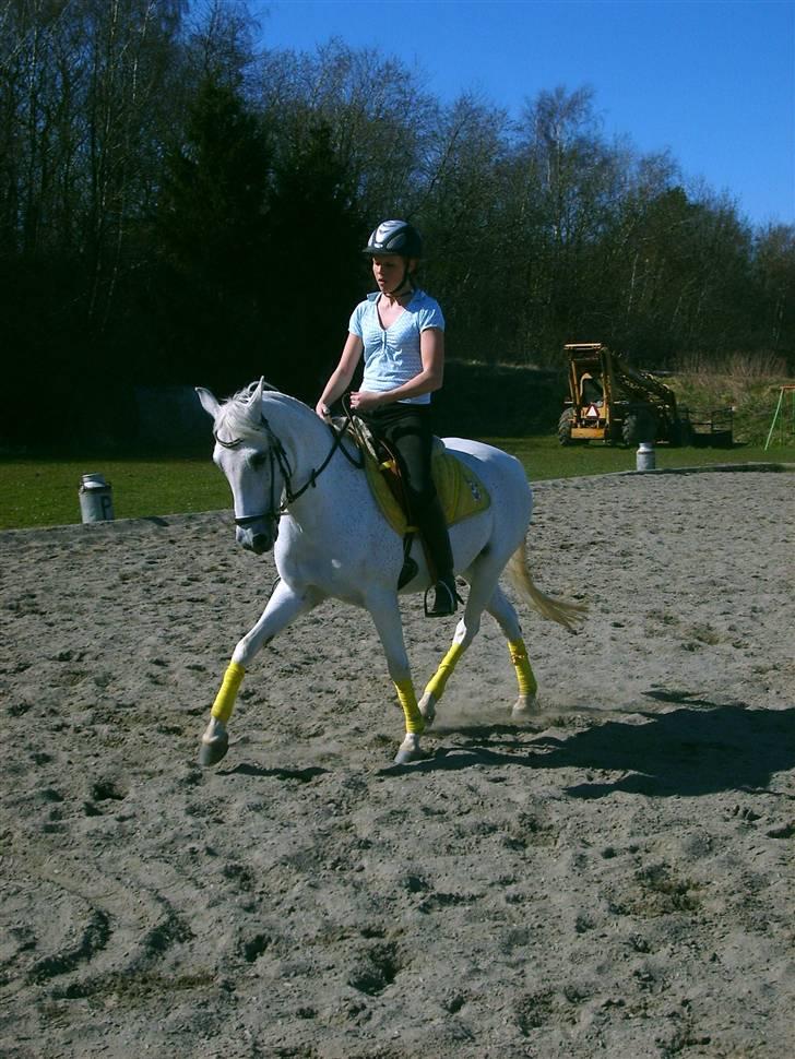 Connemara Dizett - Solgt! - Mig og Dizett træning i april 2008, super fine disse i shenkelvigning. foto: Mathilde (: billede 7