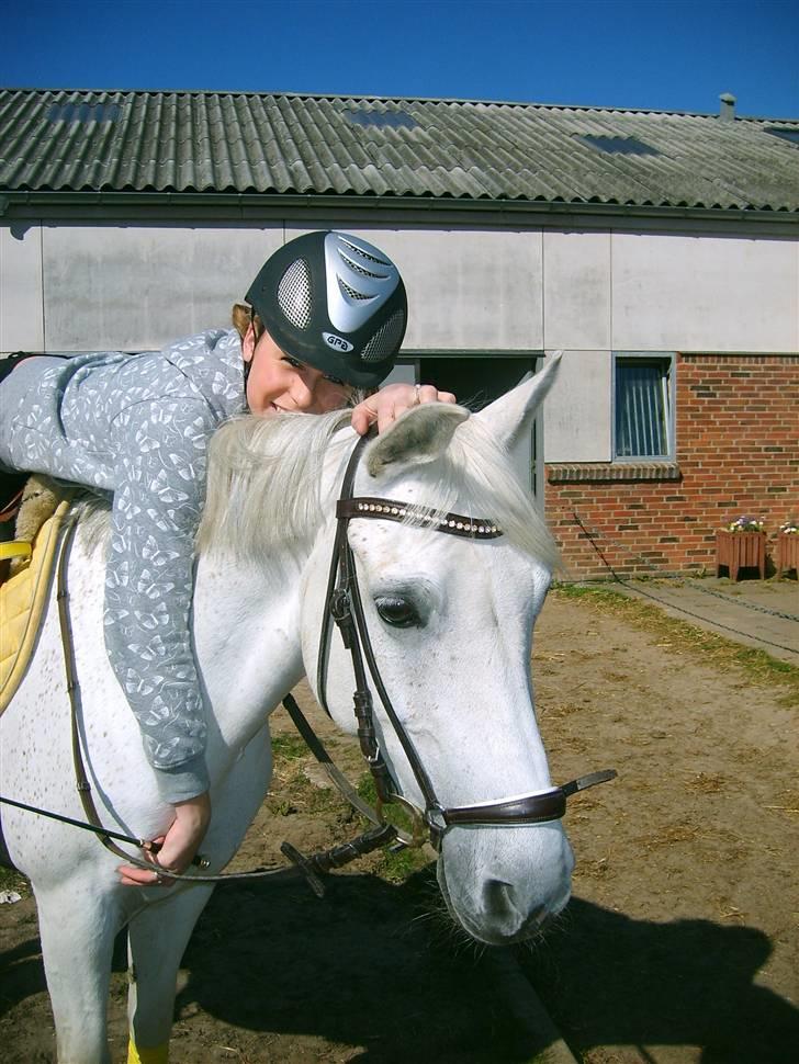 Connemara Dizett - Solgt! - mig og min elskede disse :D <33 billede 20