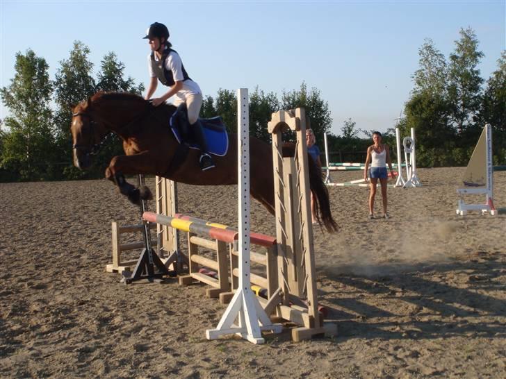 Trakehner Mazurka - træning juli 09 billede 9