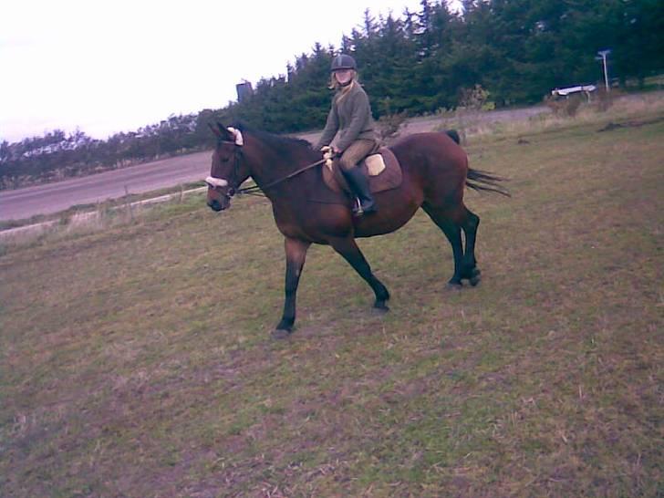 Oldenborg tanja Nyholm billede 4