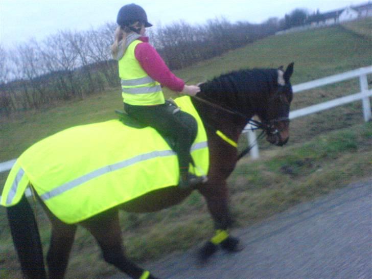 Oldenborg tanja Nyholm billede 6