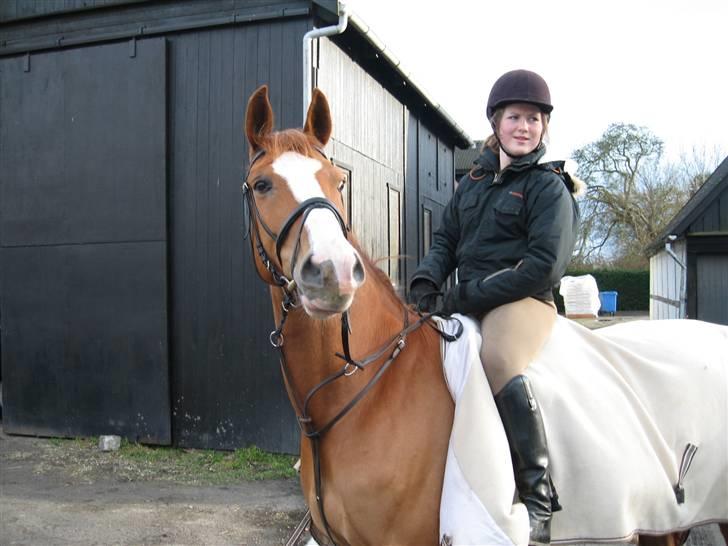 Anden særlig race Dixie {Givet væk} RIP - Line og Dixie <3<3 billede 12