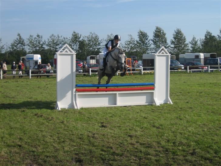 Anden særlig race Diego - Det første Springstævne... Han elsker at springe..! billede 3