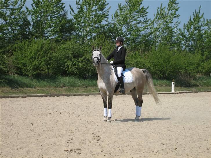 Anden særlig race Diego - Heey... Se lige hvor mange der er kommet for at kikke på mig...?  billede 6