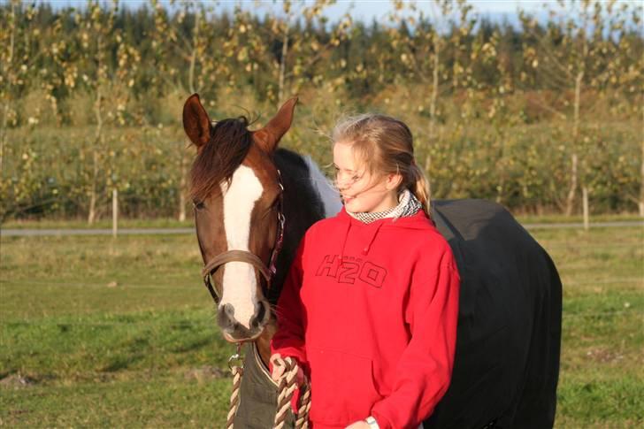 Pinto Dunjah My made billede 8