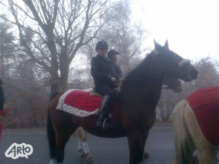 Oldenborg tanja Nyholm billede 10