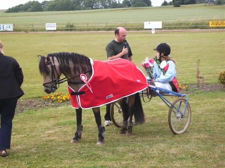 Welsh Pony (sec B) Jasmin *R.I.P* billede 11