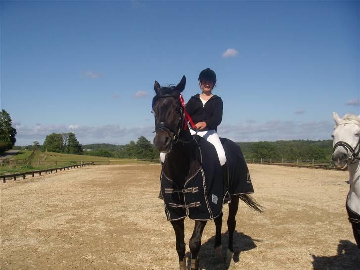 Dansk Varmblod Rubin [Himmelhest] - Velkommen til Rubin og min profil (; Se jer omkring og giv en bedømmelse (; Billed: KLUBMESTER 09 billede 1