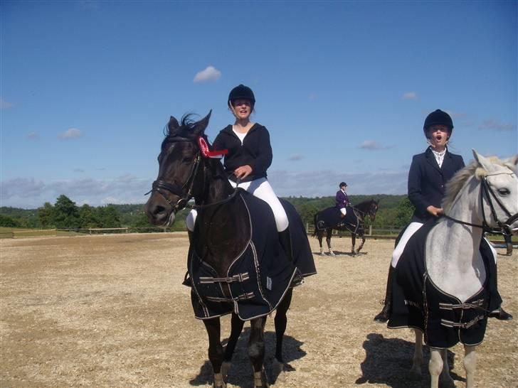 Dansk Varmblod Rubin [Himmelhest] - Præmie dyret, klubmester 2009 ;D  billede 4